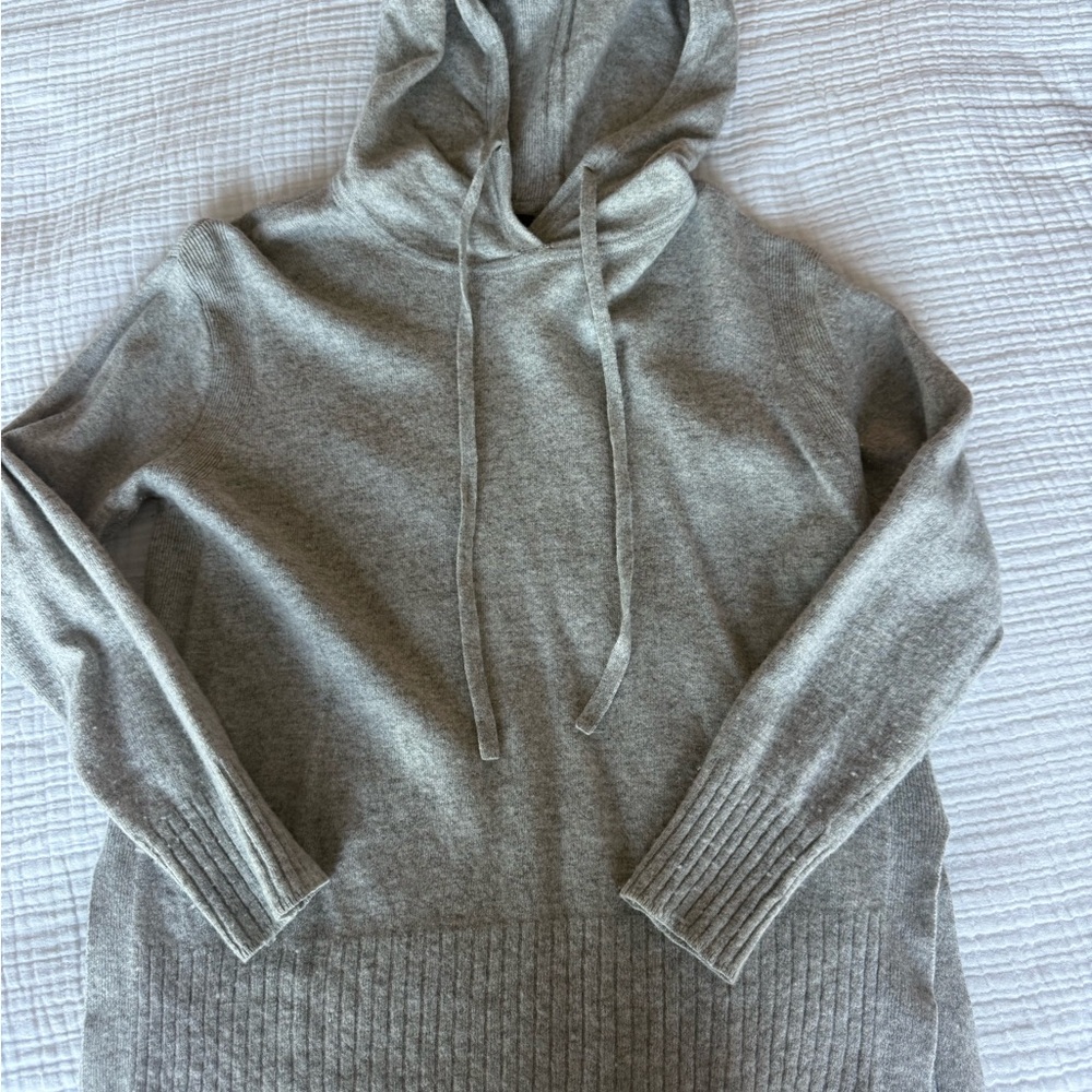 Banana Republic Merino Wool Hooded Sweater